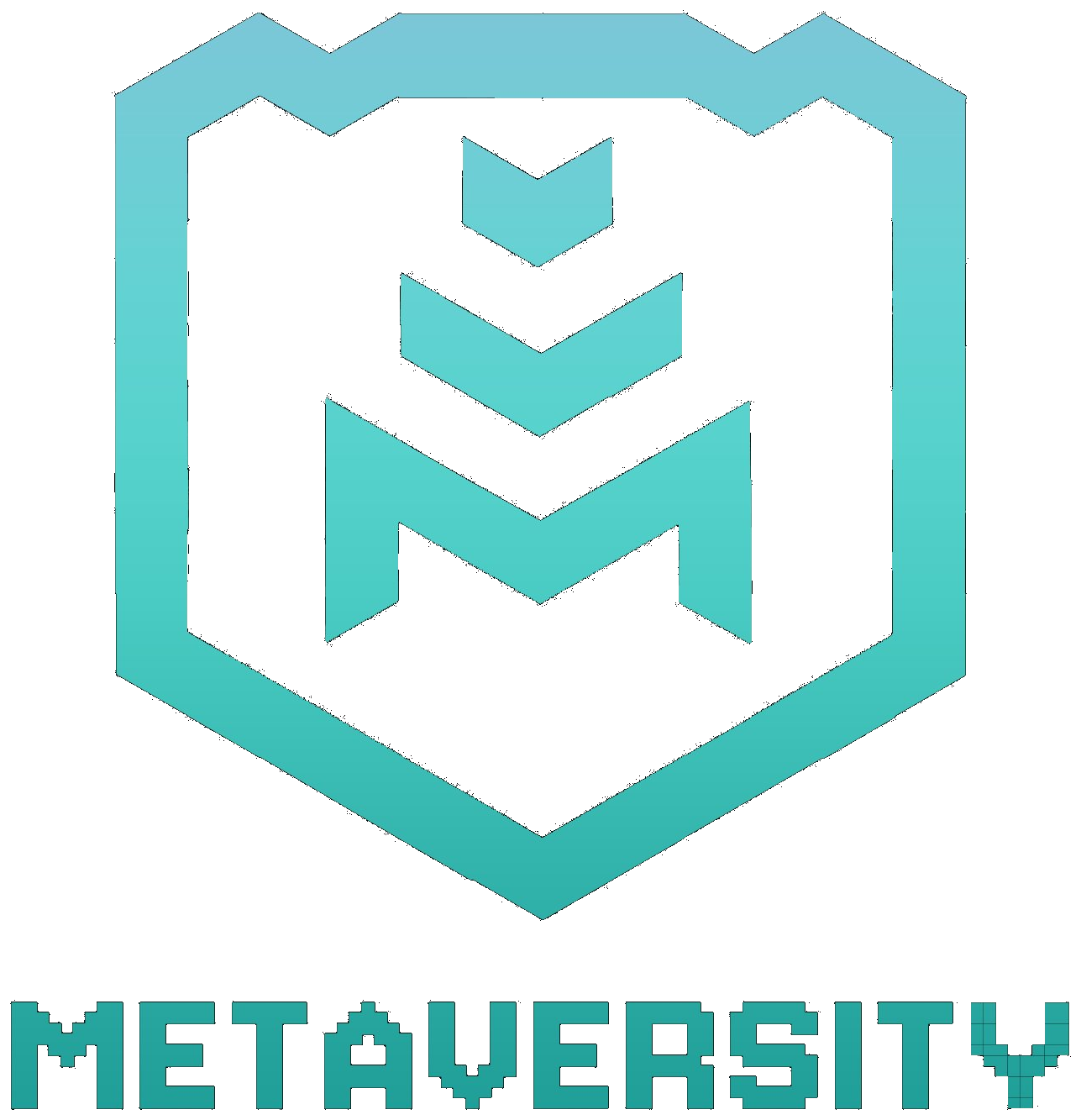 Metaversity